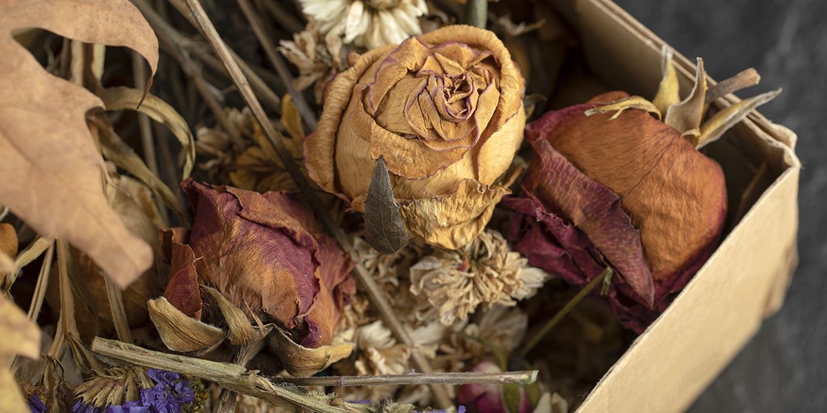 Redonnez vie à vos fleurs fanées avec ces 11 astuces étonnantes