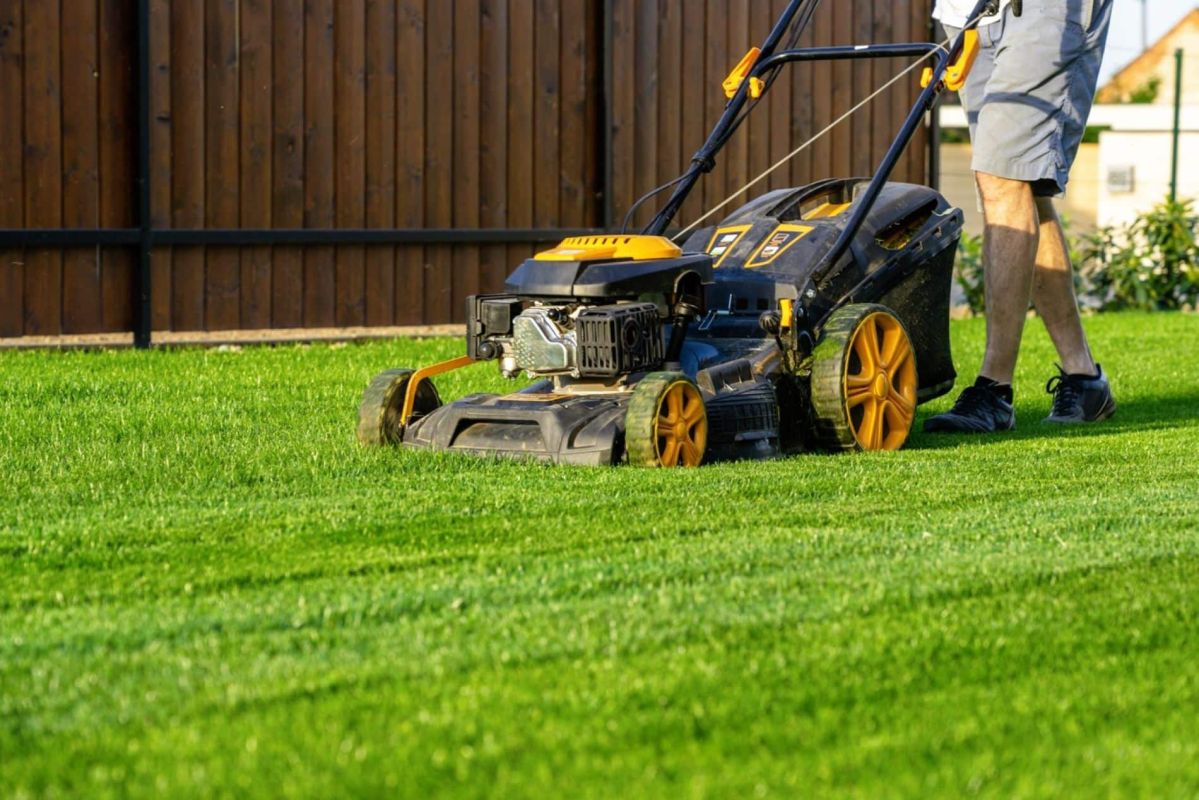 les secrets d'une première tonte réussie pour une pelouse en pleine santé