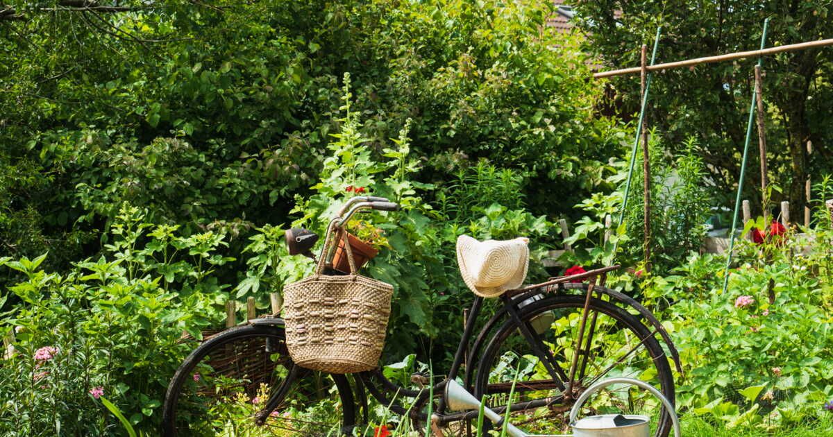 Les indispensables du jardinage en août : semis et récoltes à ne pas manquer