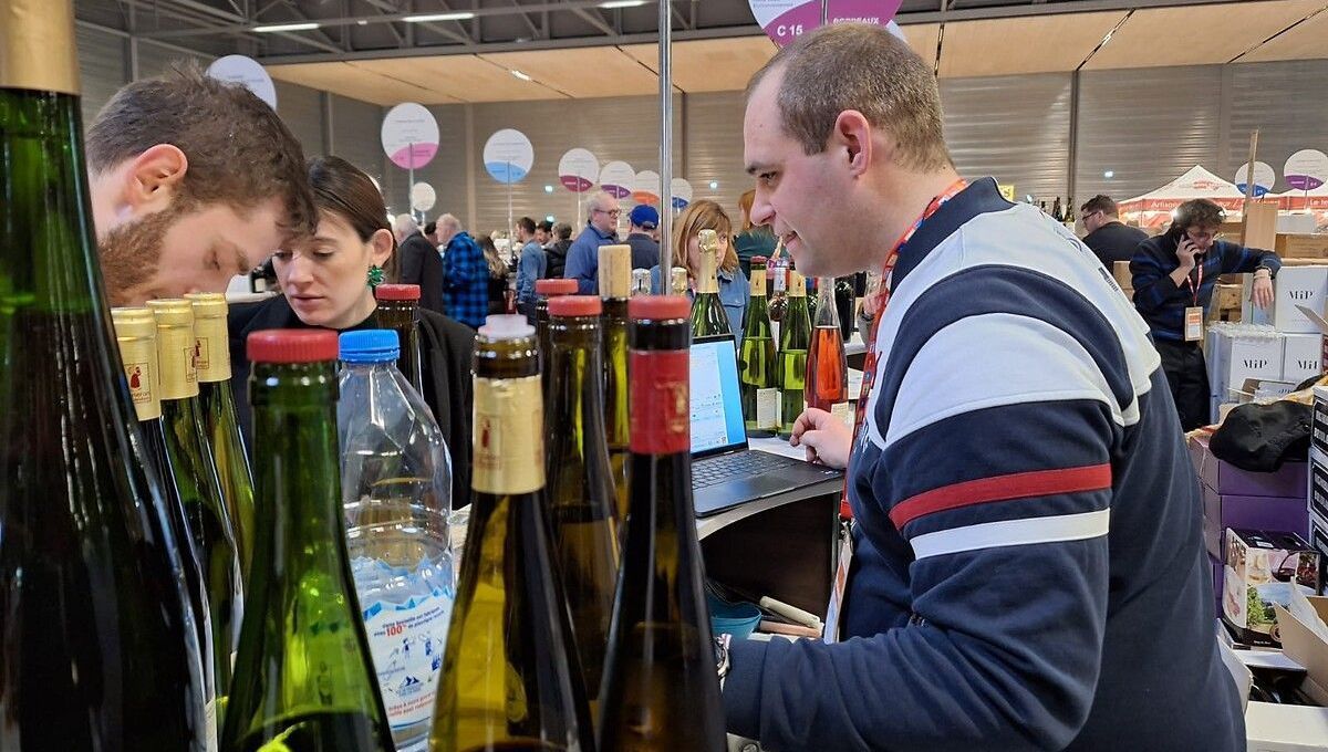 Les vignerons alsaciens en quête de nouvelles générations de consommateurs