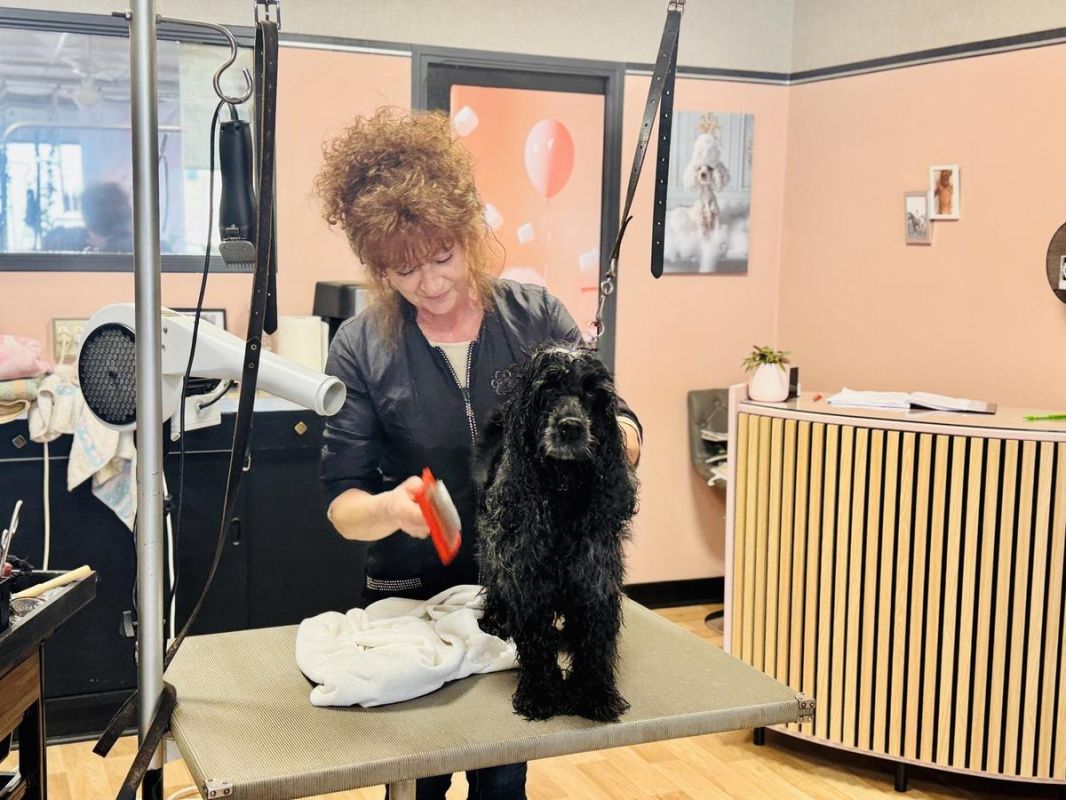 À Tonneins, Nathalie Viguié consacre sa vie aux animaux depuis plus de quarante ans