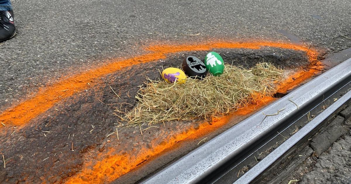 Des motards en colère mettent en lumière les dangers des nids-de-poule à Strasbourg