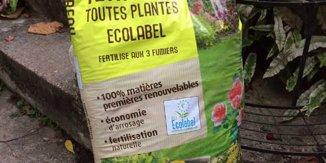 Choisir le bon terreau pour vos plantations : guide incontournable
