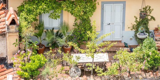 Transformer votre terrasse en un havre de verdure