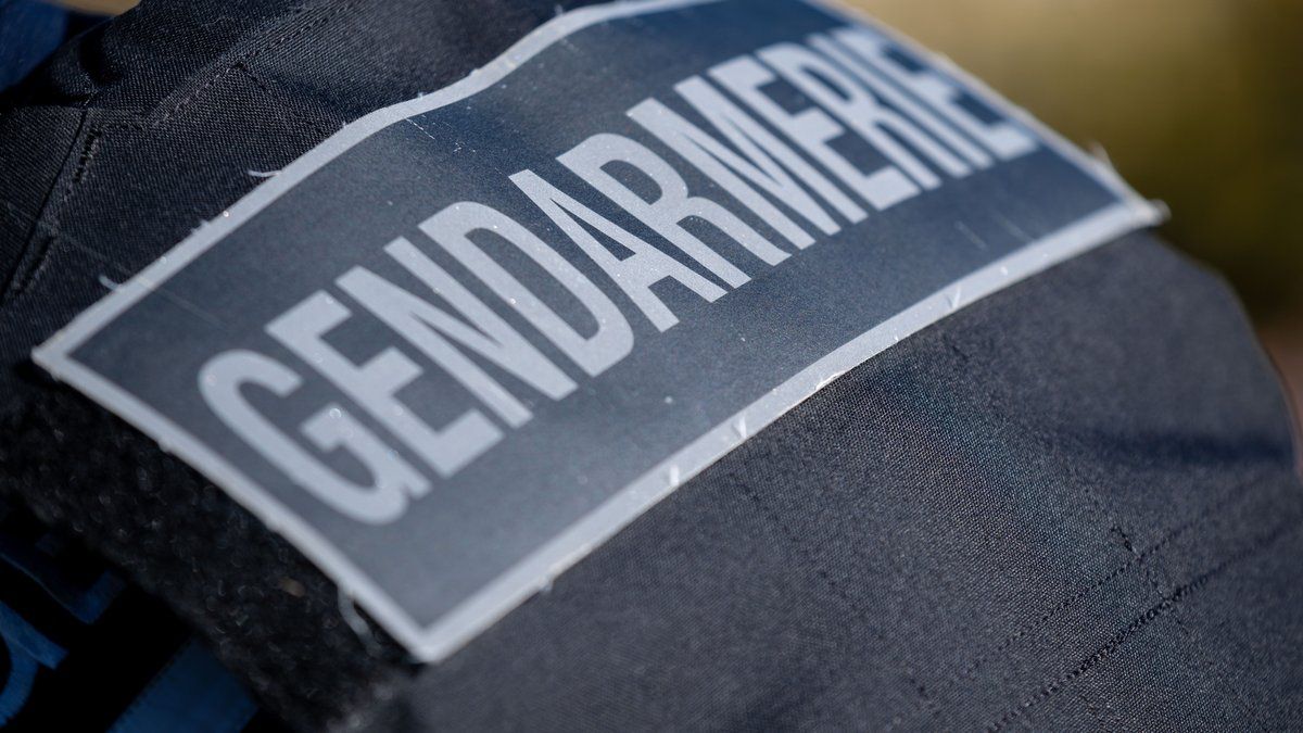 Un vol inattendu pour 70 euros : l'étrange histoire d'une tête de Bouddha