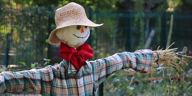 Comment fabriquer un épouvantail ? Des idées d'épouvantails