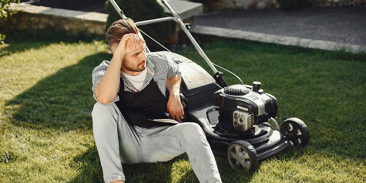 Adieu tonte : les secrets d'une pelouse écoresponsable et sans entretien