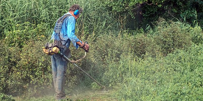 débroussaillage : les obligations à connaître pour protéger votre maison