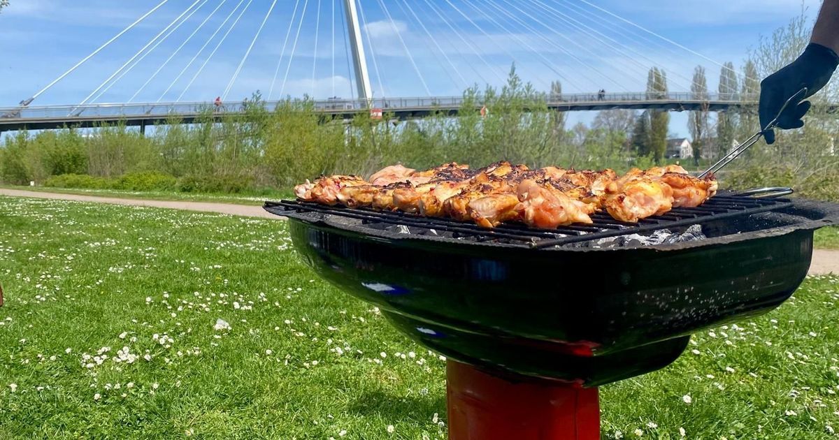 Barbecues au jardin des Deux Rives : le plaisir retrouvé à Strasbourg