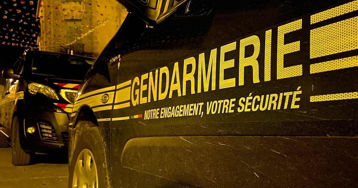 Vol de carburant et violences : un homme en détention près de Forbach