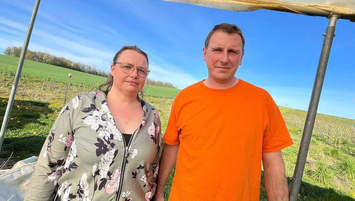 Des maraîchers en Ardennes poursuivent en justice pour pollution aux PFAS