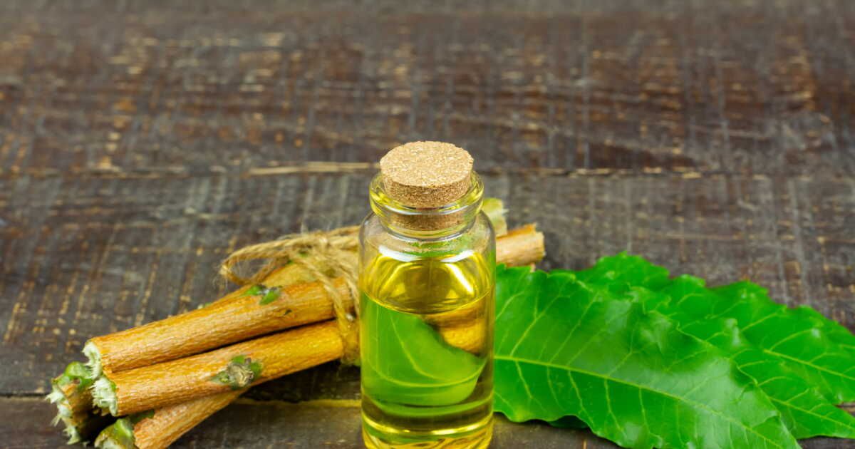 Des solutions naturelles pour lutter contre les termites dans votre maison