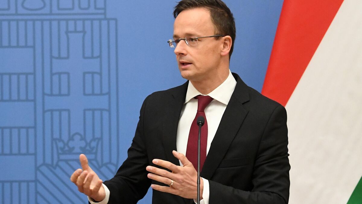 Enquête : la Hongrie, entre blocage européen et espionnage pro-russe