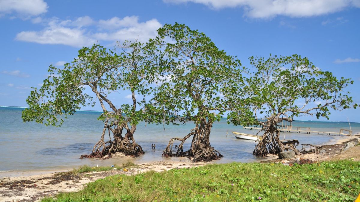 Quand le séminaire de Plex se transforme en véritable chaos