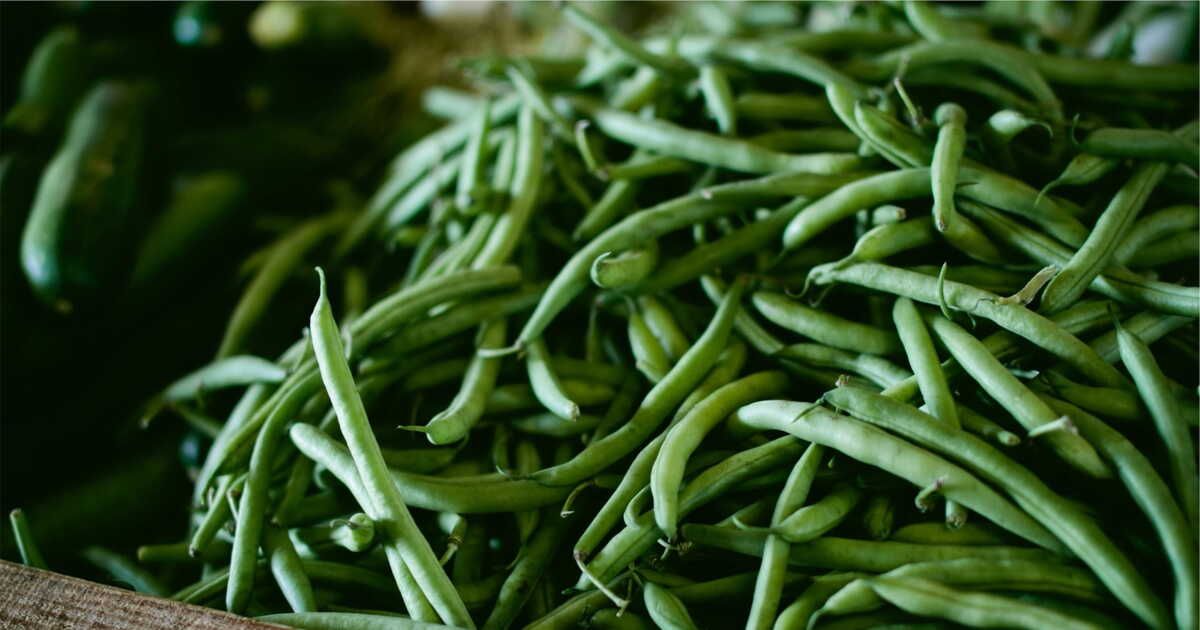Comment congeler des haricots verts ?