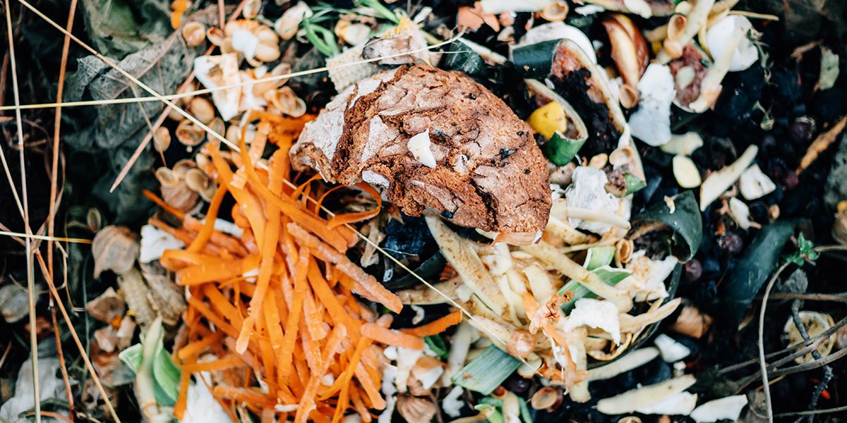 Jeter le pain au compost : bonne ou mauvaise idée ?