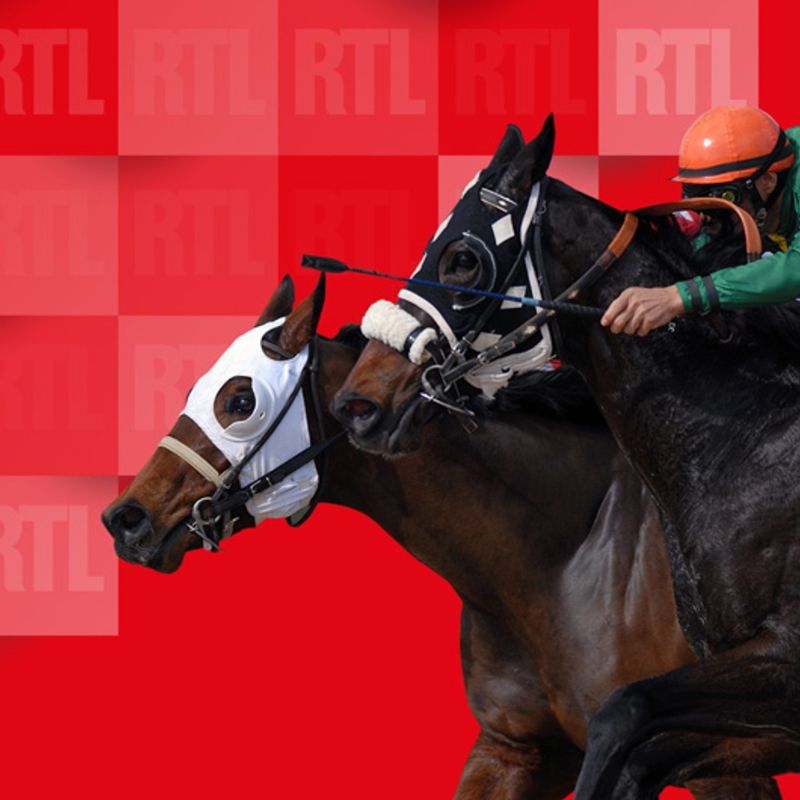 Les pronostics du Quinté du 6 mai à Vincennes : une course pleine de surprises