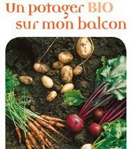 Créer un potager bio sur votre balcon : conseils pratiques