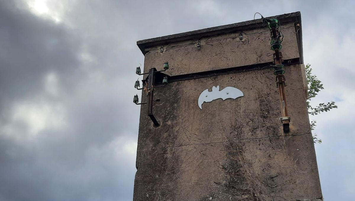 Un concept innovant : l'hôtel pour chauves-souris ouvre à Vandœuvre-lès-Nancy