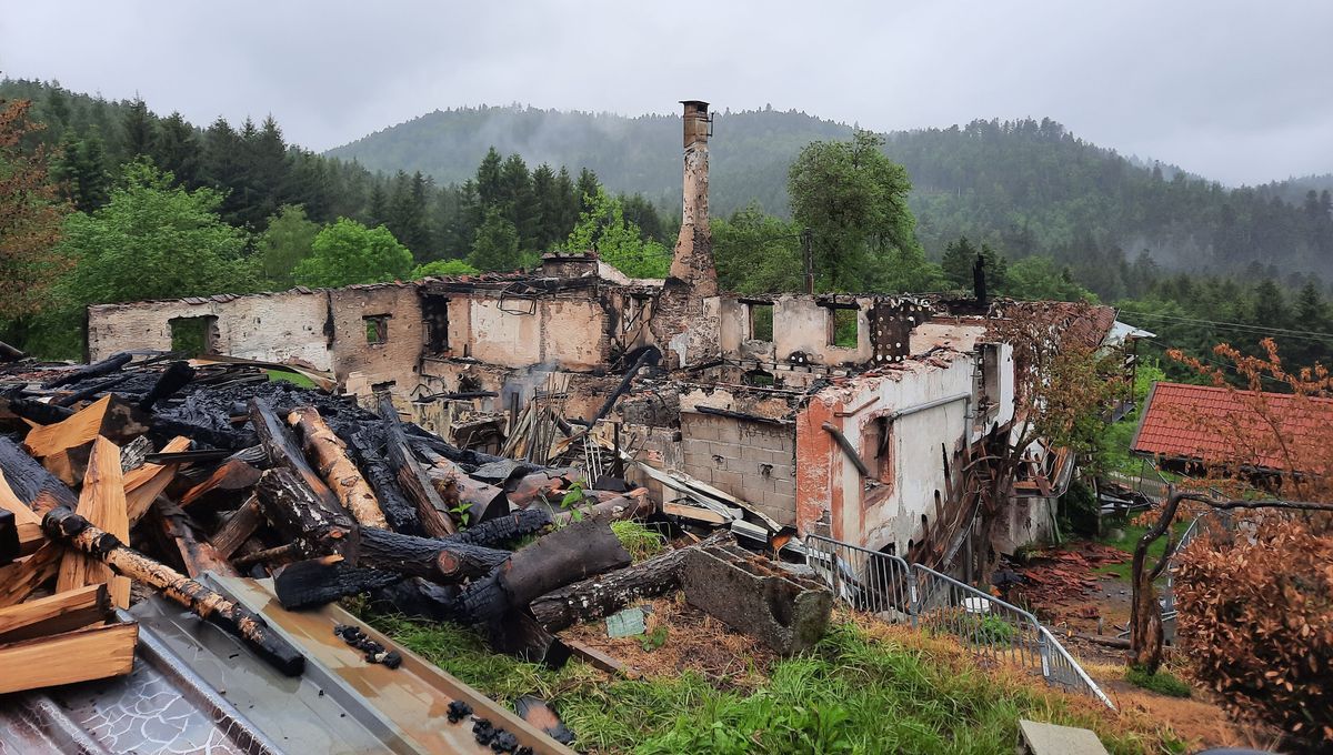 Une semaine après l'incendie de la ferme équestre à Dommartin-lès-Remiremont, la solidarité s'organise