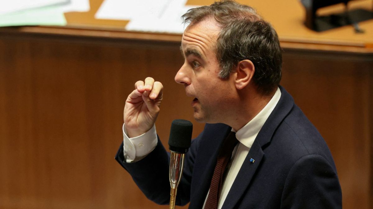 Sébastien Lecornu face à l'hantavirus : une gestion proactive et transparente