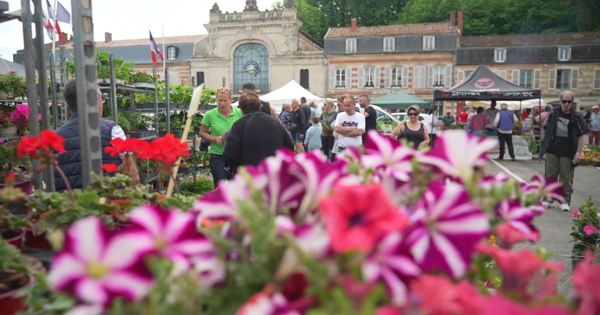 Senteurs du printemps : le marché aux fleurs de Sainte-Menehould enchante les passionnés