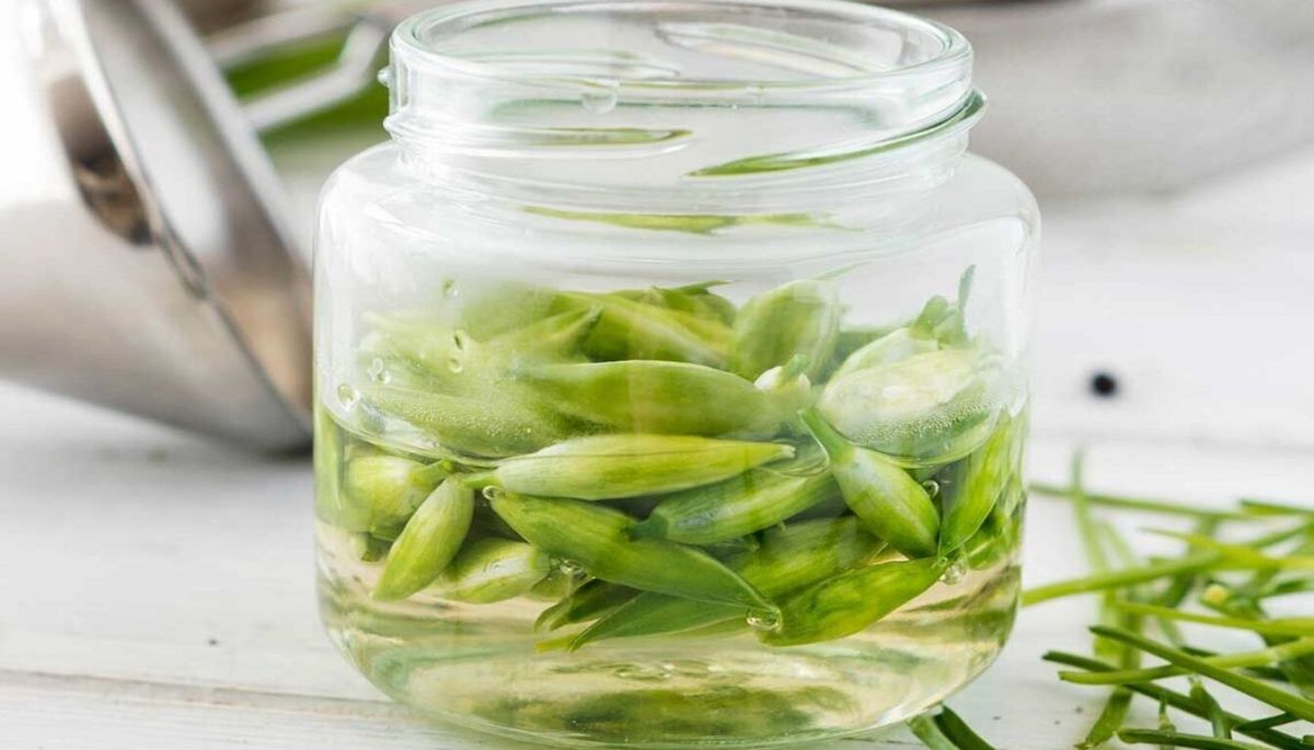 Découvrez la recette parfaite des fleurs d'ail des ours marinées au vinaigre