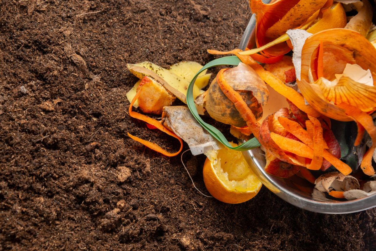 les plantes à éviter absolument dans votre compost pour un jardin florissant