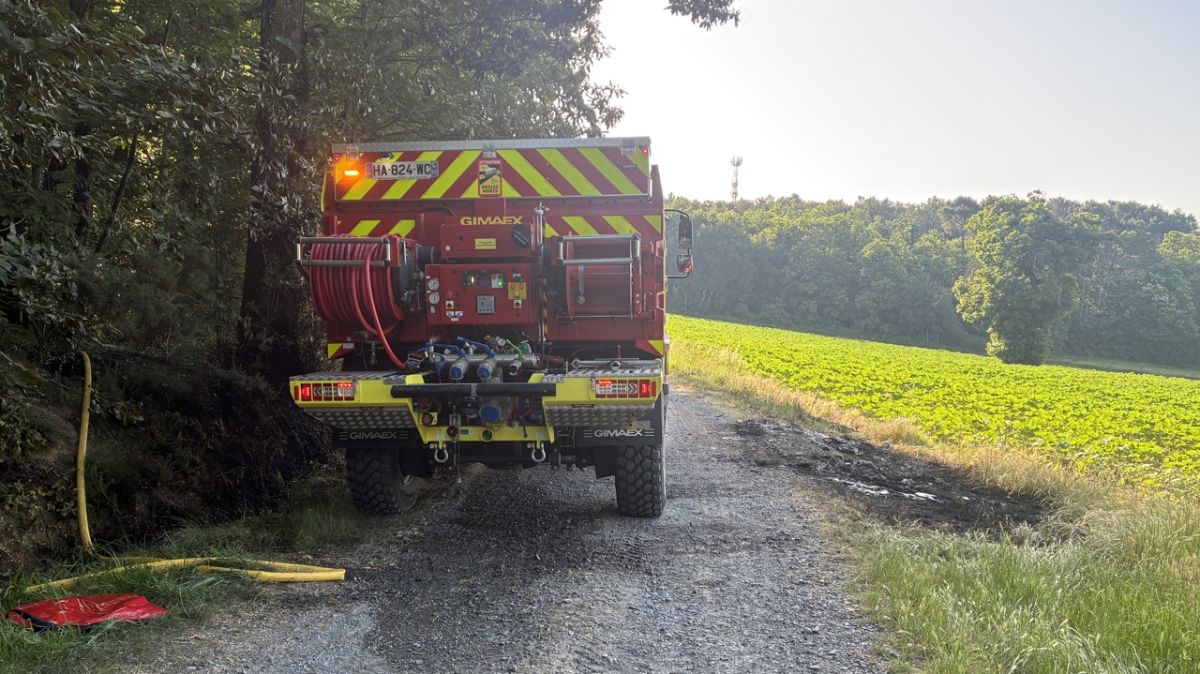 Un incendie de véhicule ravage un hectare de forêt à Scorbé-Clairvaux