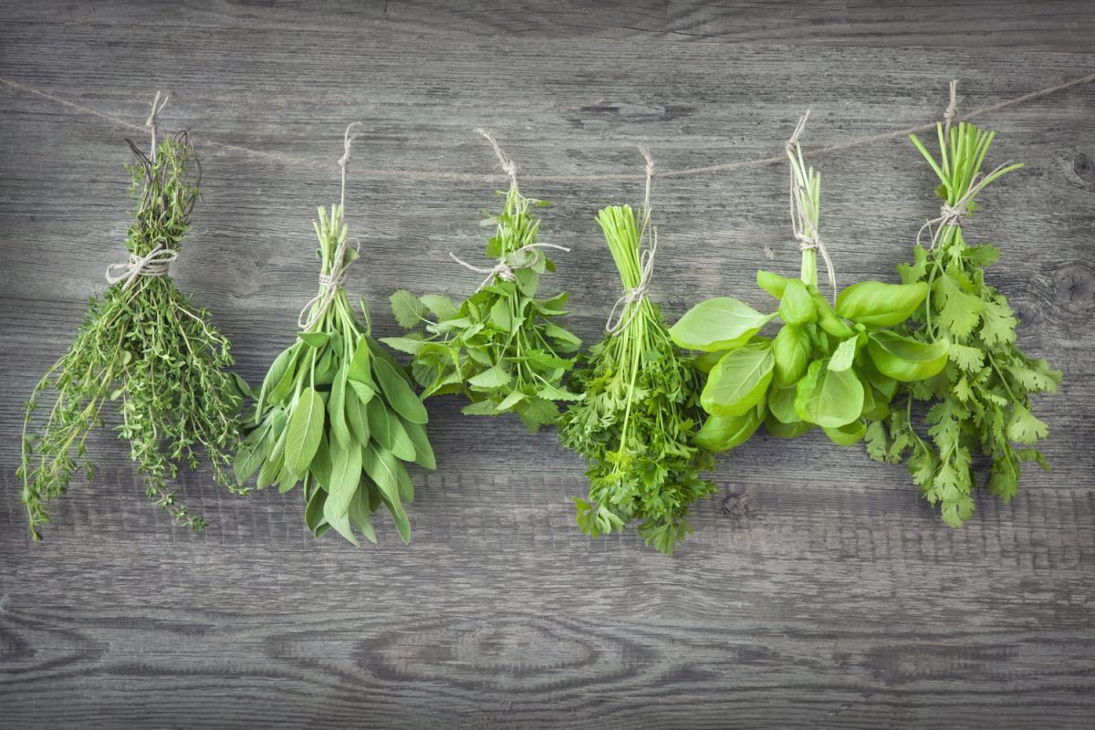 Astuces pour conserver vos fines herbes plus longtemps