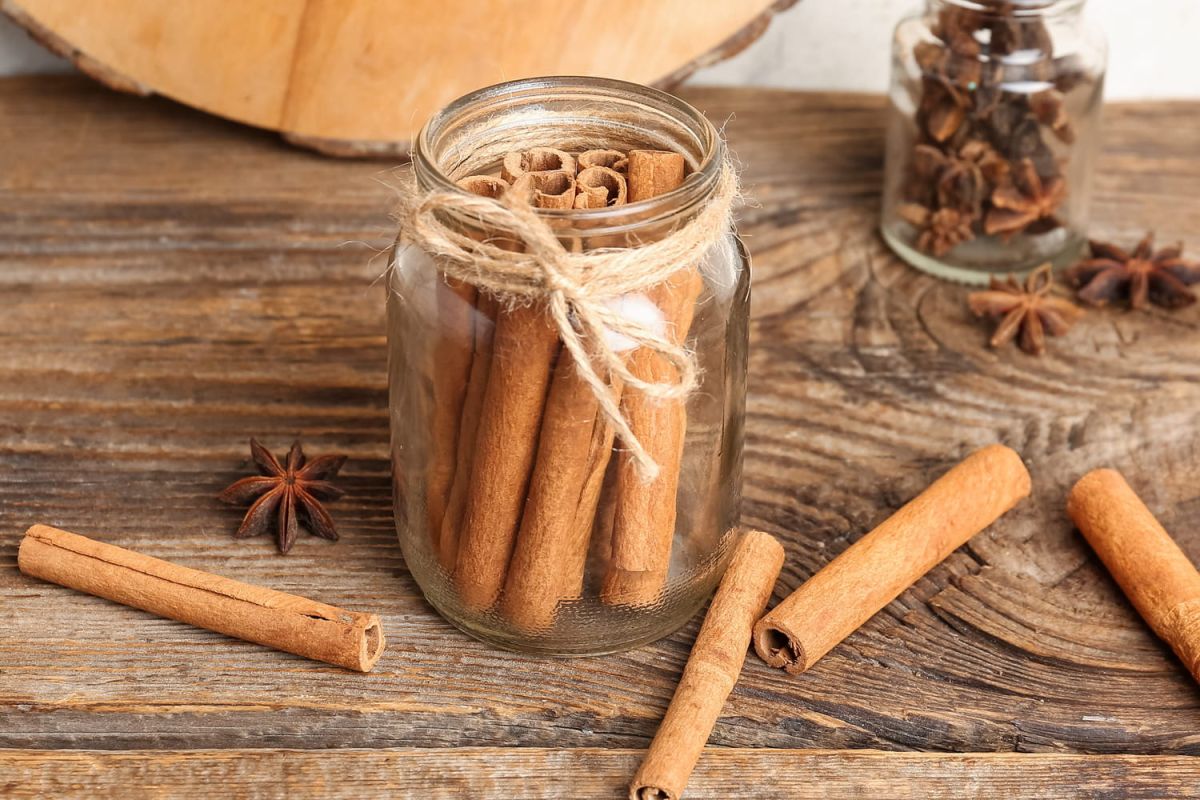 L'art d'intégrer la cannelle en cuisine