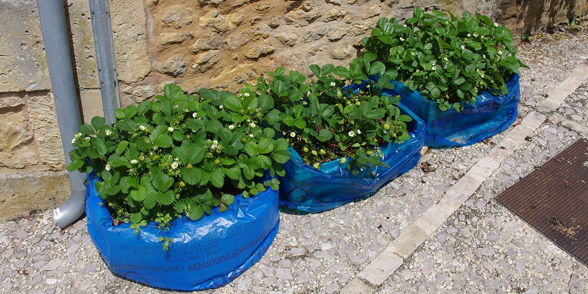 Cultiver sur le balcon : pourquoi abandonner le plastique ?