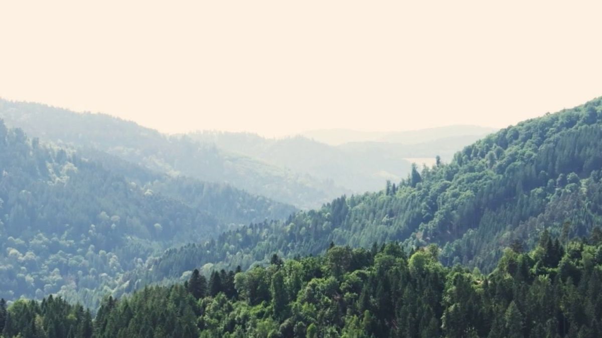 Découverte de la forêt noire, trésor naturel d'Allemagne