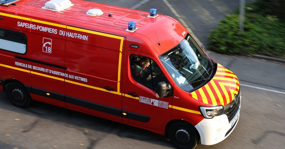 Bébé retrouvé dans la forêt à Wittelsheim : une enquête ouverte