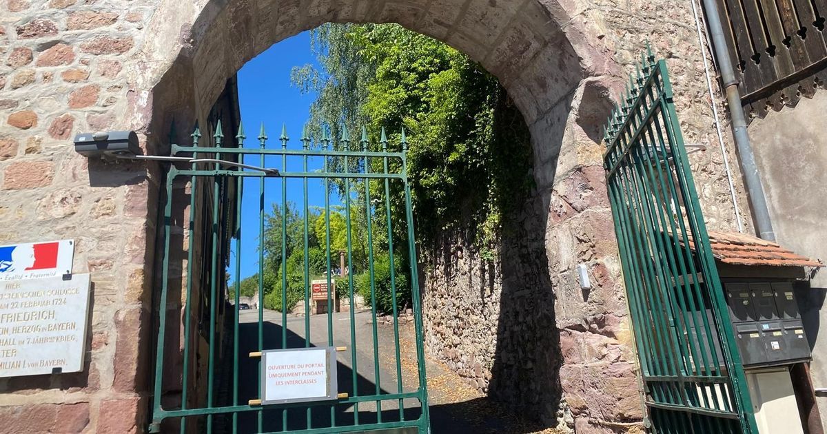 Cinq mois sans professeur d'allemand au lycée Ribeaupierre : une situation préoccupante pour les élèves