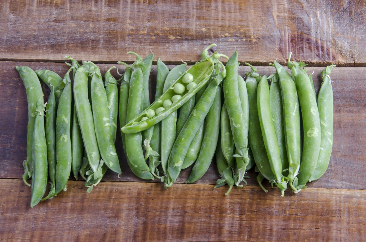 Découvrez les bienfaits insoupçonnés des petits pois