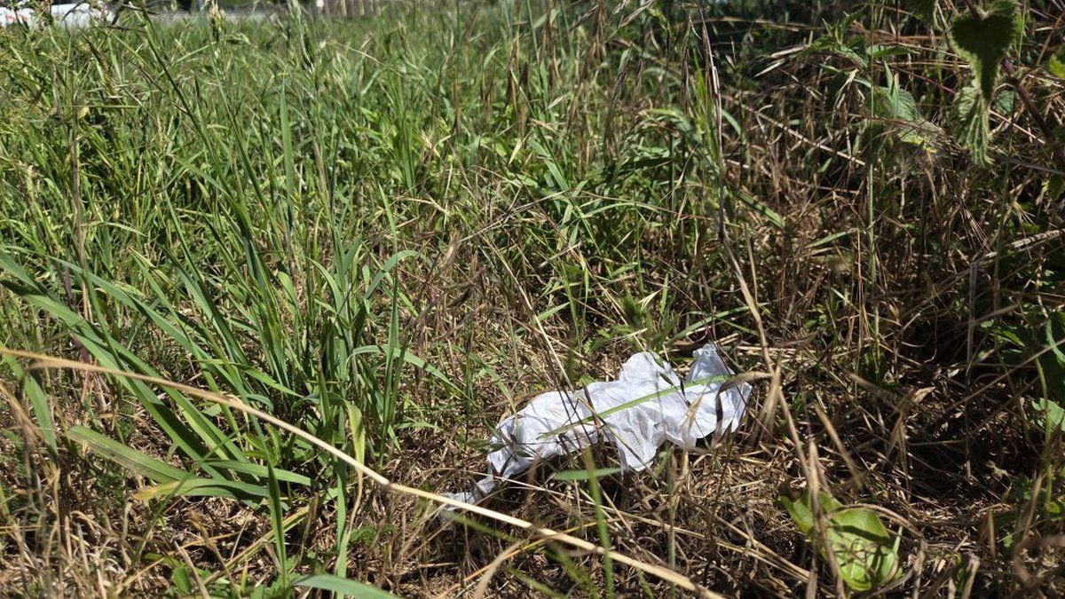 Un nourrisson abandonné en forêt : les mystères d'un accouchement troublant