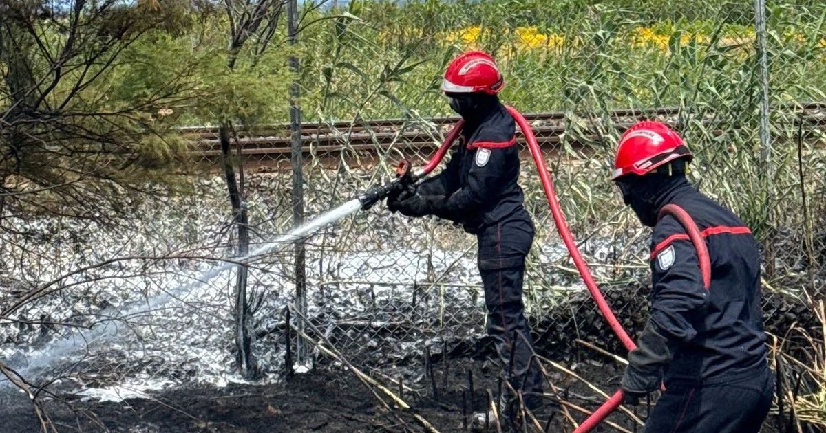 Incendie entre Sète et Agde : un incident qui perturbe les circulations