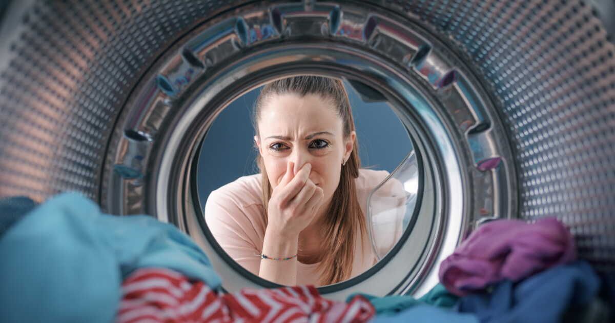 Combien de temps peut-on laisser son linge mouillé dans la machine à laver ?