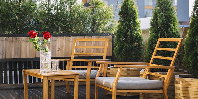 Découvrez le brise-vue parfait pour votre jardin urbain