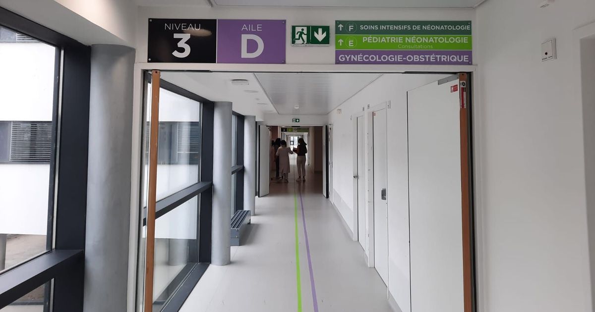 Un parcours innovant d'assistance médicale à la procréation lancé dans les Vosges