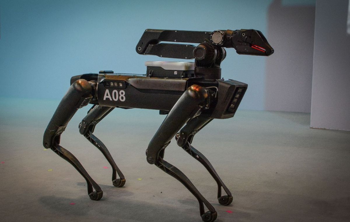 Des chiens robots à la coupe du monde 2026 : réalité ou simple rumeur ?