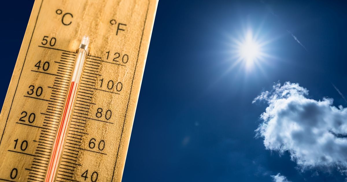 Une vague de chaleur record menace l'Alsace