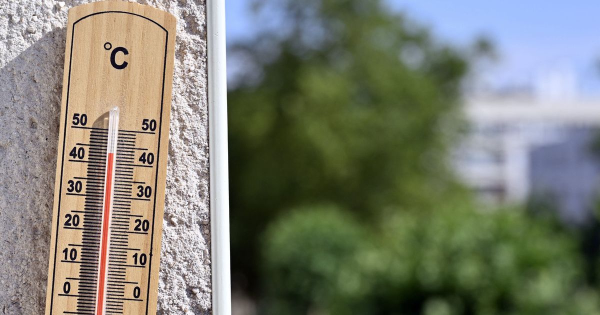 Chaleur record : les températures extrêmes dans le Grand Est