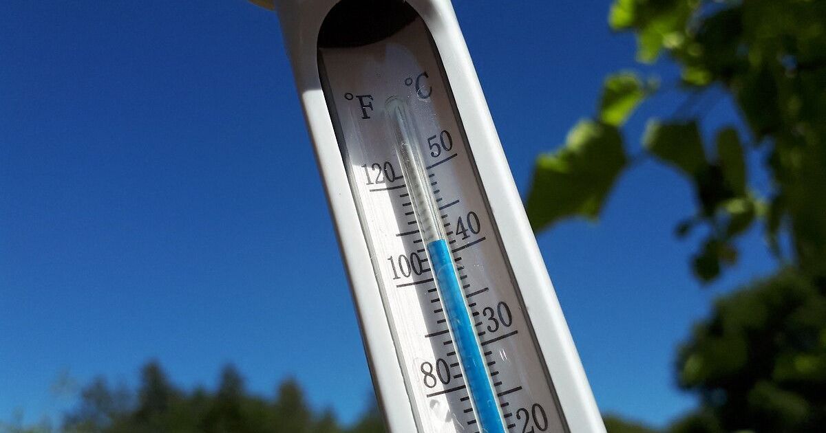 Une vague de chaleur sans précédent : les mesures des villes alsaciennes face à la canicule