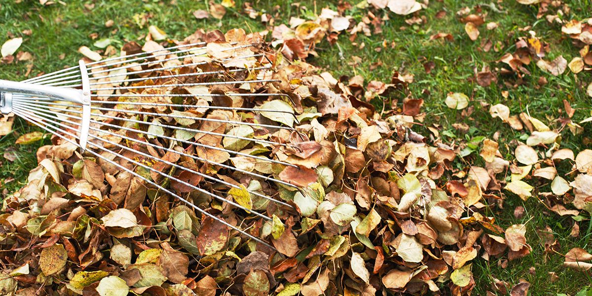 6 astuces pour faciliter le ramassage des feuilles en automne