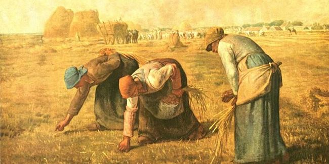 Le glanage : une réponse à la crise alimentaire ?