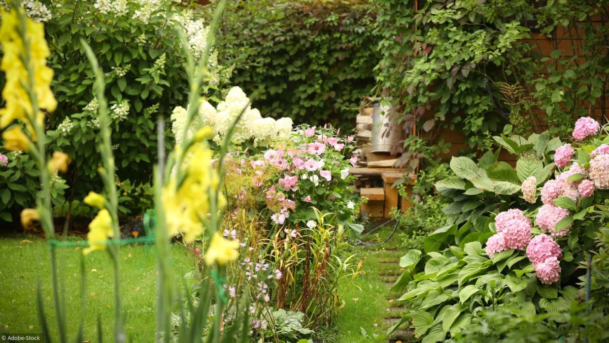 Les secrets d'une floraison réussie: solutions pour vos jardins