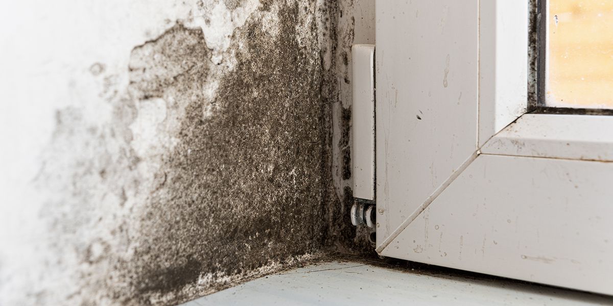 Fabriquez votre absorbeur d'humidité naturel à la maison