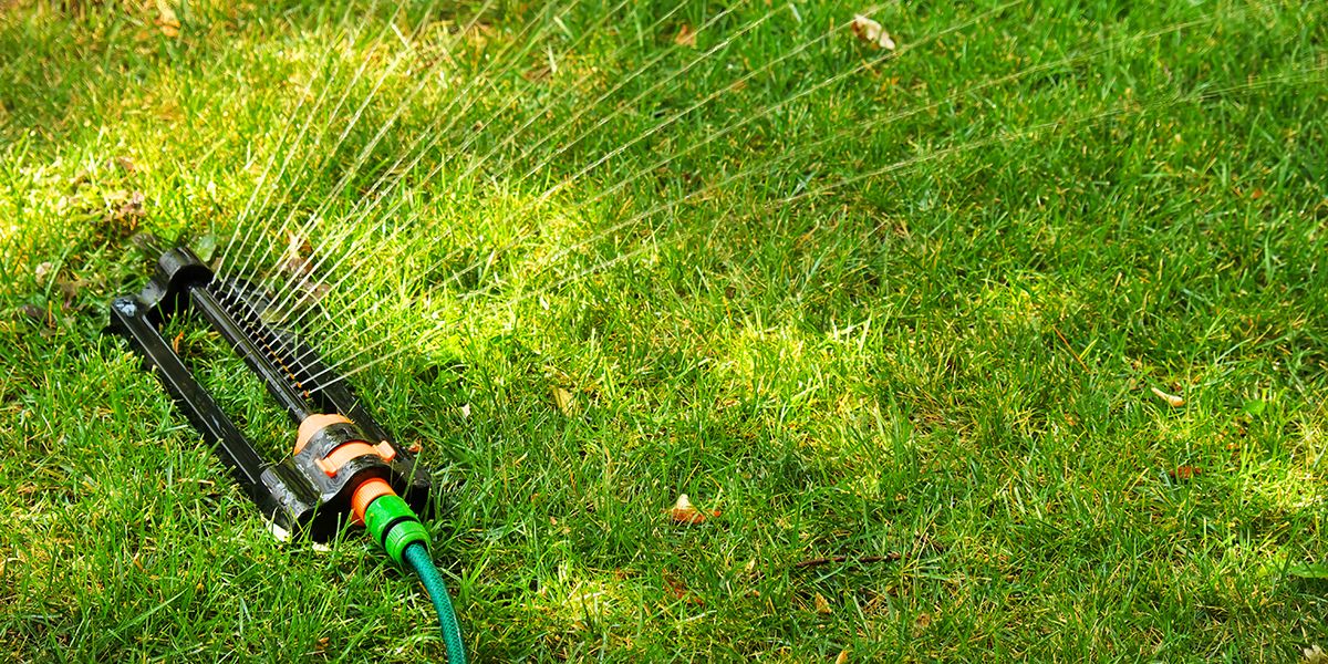 Des astuces infaillibles pour un gazon éclatant tout l'été